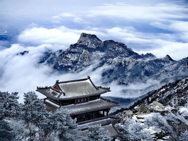 我想离开浪浪山，去看看泰山的四季轮转！