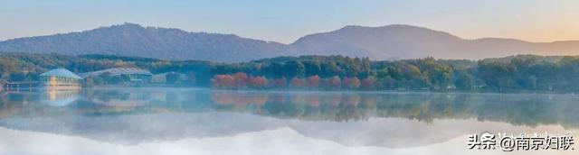 给个准信！盼了又盼的秋日“顶流”全部上线