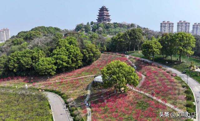 逛完这个逛那个！九江“十大主题公园”陆续亮相