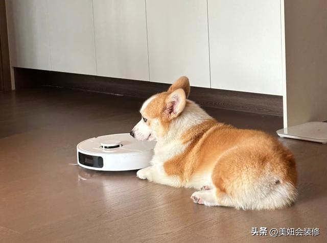 用了3年扫地机器人，踩了4个吐血坑！5条避坑经验，少花冤枉钱