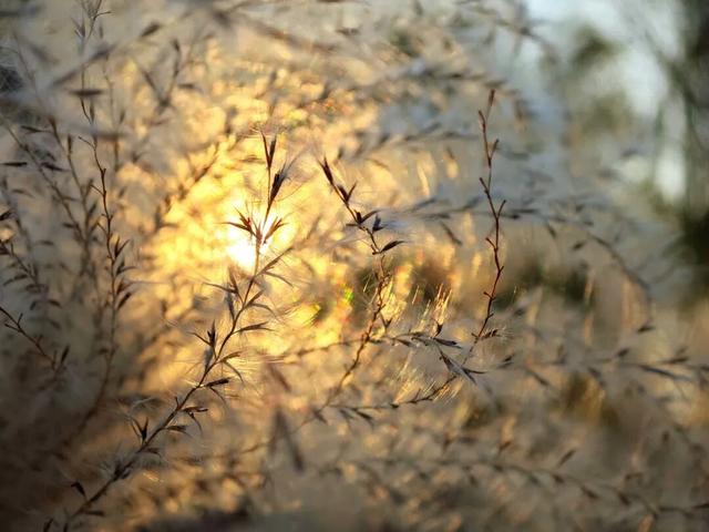 最浪漫的事，牵上“她”的手，湿地走一走