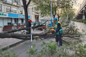大风红色预警继续！最大13级！河北大部已出现阵风6级以上大风天气！最新预报图片