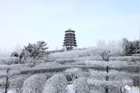 张家口人看看这些雪景美图是你的家乡吗？图片