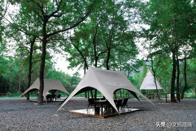 当北纬27°的风穿过枫林,我在渡头村撞见了一场自然的浪漫剧场