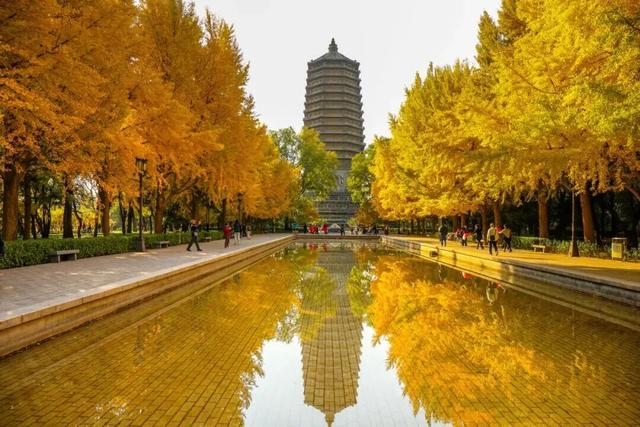 速来！海淀这份含“金”量超高的攻略请收好→