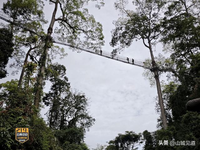 云南沿边G219自驾详细路书（富宁-保山）