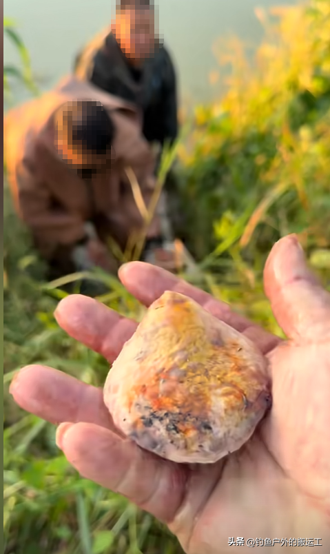 如获至宝？巨型青鱼“暴尸”江边！湖北3男子忍着臭味抠出青鱼石