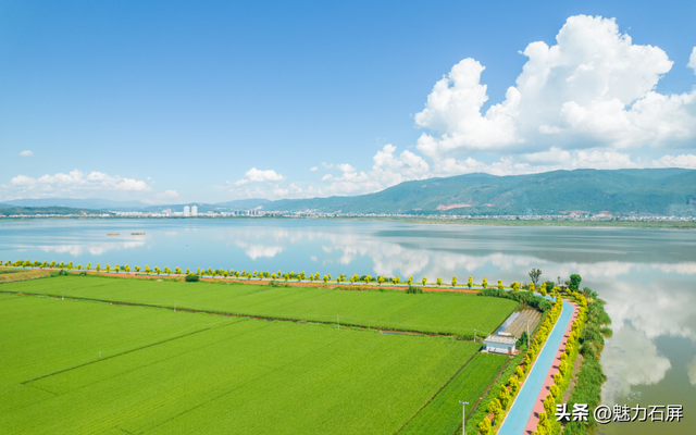 风有约 花不误 | 在异龙湖，骑进春天的画卷里