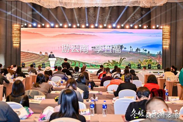 【知音湖北】“冬暖花开游云南”2025冬季文旅推广活动走进武汉 共绘跨区域合作新图景