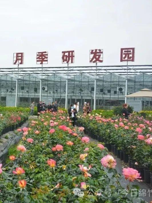 情景相生好风光｜这些才是绵竹最值得去的地方！不接受反驳……