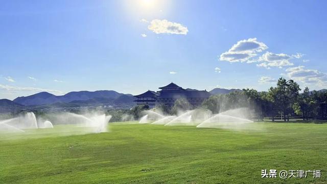 期待 | 古树下品咖啡！天津度假打卡地+1！重磅福利→