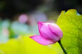 真正命硬的人，会遇到这三种因果图片