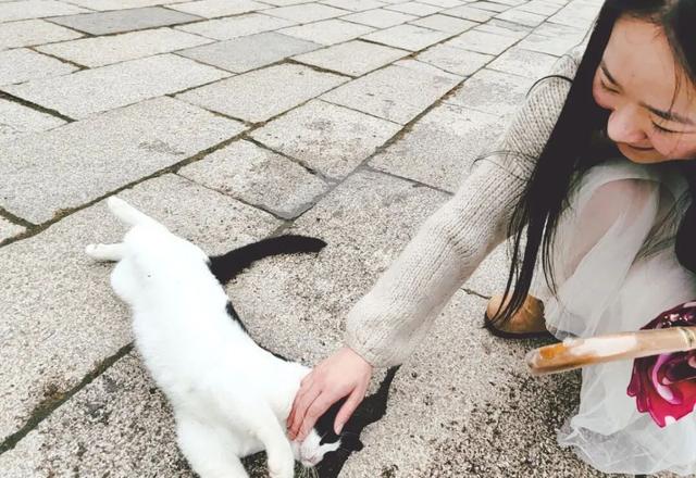 10月	，「需要另一个同类」