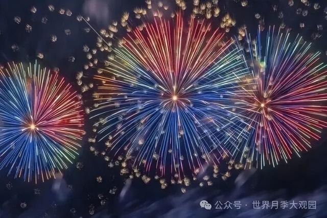 南阳世界月季大观园2025国庆月季文化周来了！