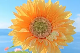 值得收藏，这些回头率100%的微信昵称～图片