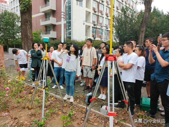 AI破译"鸟群舞蹈"！集体智慧不再神秘，未来城市、机器人将被颠覆