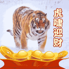 收藏！“约会哈尔滨 冰雪暖世界”冬季专属表情包上线了！