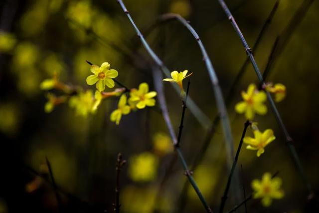 太期待了！接下来的洛阳，是这样的...