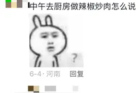 猫咪十级：和小猫沟通无障碍，网友：能帮我录语音让猫别尿被子吗图片