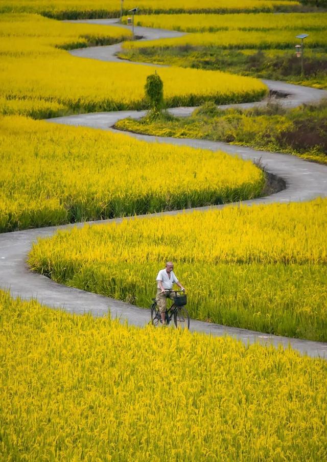 拿好这份初秋“寻色地图”，骑行解锁韶关的限定美景