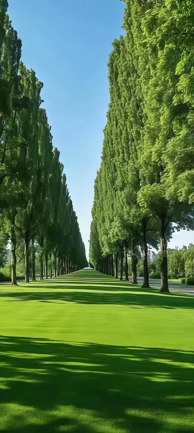 缁胯壊鎶ょ溂澹佺焊缇庡浘