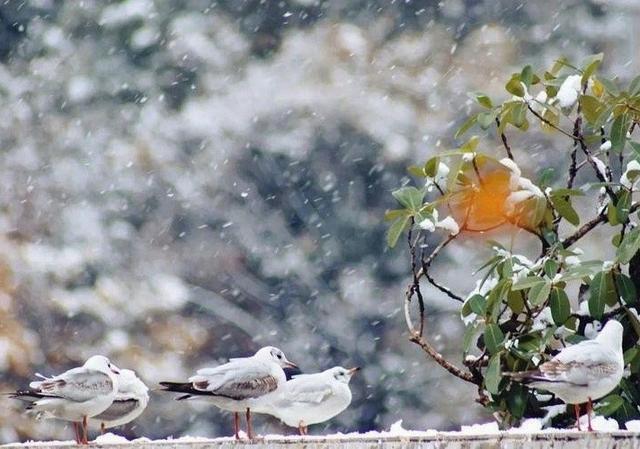 今年最冷时间表公布了，什么时候最冷？2026年春节冷不冷？长见识