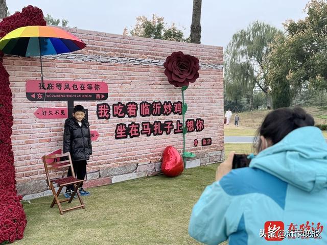 临沂河湾公园金秋赏花活动启幕 数万株地栽菊打造秋日盛景！