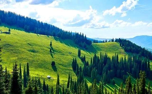 两性关系：你懂什么叫“人过五十五，雌雄不再殊”吗？不妨来看看