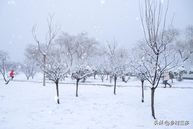 “有雪无雪，就看冬至”，今日冬至，今冬雪多冷到哭？看农谚咋说