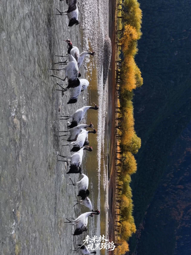 这个冬天，一定要来西藏看……