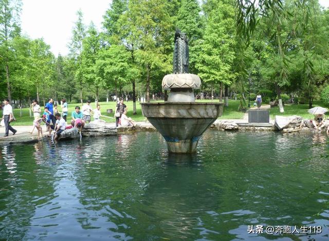 夏日炎炎，泉城戏水，不辞长作济南人