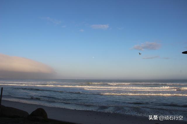 南部非洲：南非开普敦企鹅岛