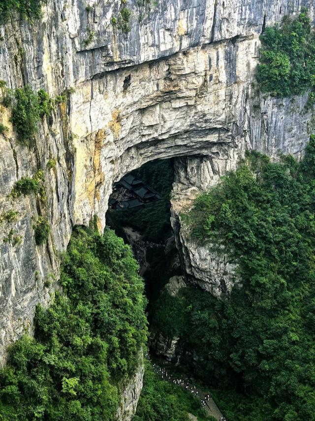 刚从重庆回来，说句大实话，能“劝”一个是一个！