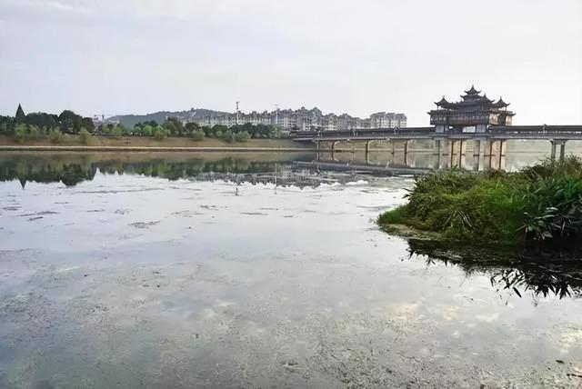 除了江苏，长三角还有另一个“散装省”，省内差异比江苏还严重？