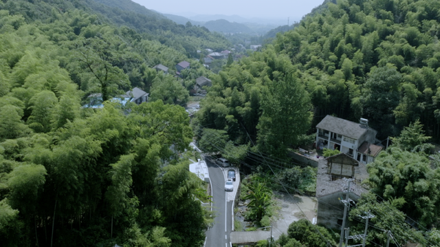 莫干山的文旅新实践，山野里长出了新日常