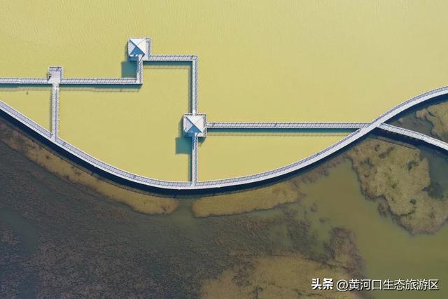 【黄河口生态旅游区】欢欢喜喜闹元宵 游玩指南来袭！