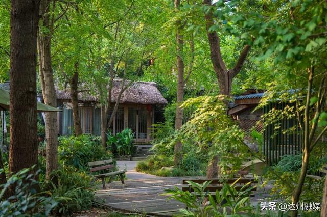 玩在渠县|元旦“渠”哪玩？开启躺平式 citywalk 指南