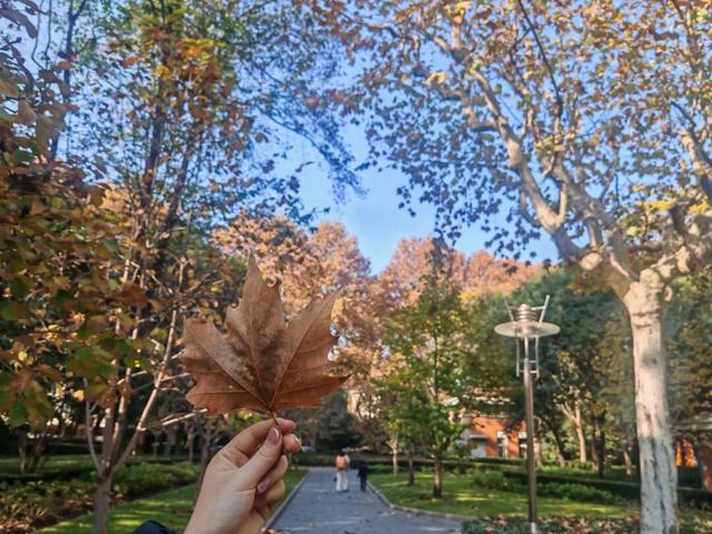 秋色正当时！这座4A级公园换上了“美拉德”秋装