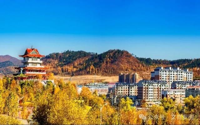 你的《731》票根，畅游安图还有这份隐藏福利待解锁！