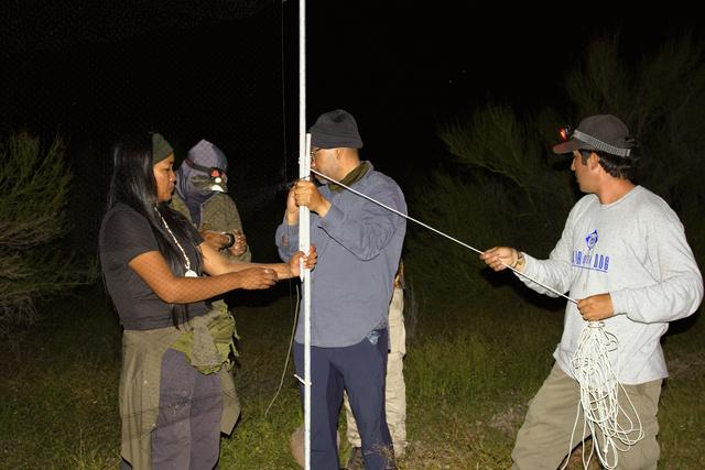 墨西哥岛屿呼唤救援：失去帝王蝶和吸蜜蝠，餐桌会发生什么？