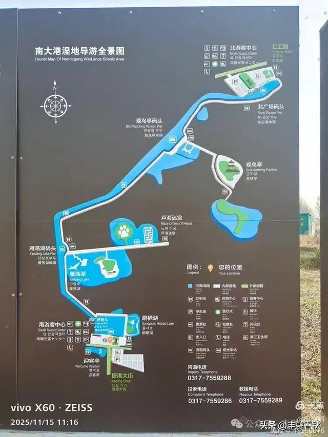 苇风载秋,鹤影映波——河北黄骅南大港湿地的初冬漫游| 申艳娟