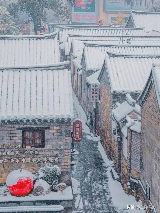 好客山东好品山东｜初雪来了！山东变山“冬”