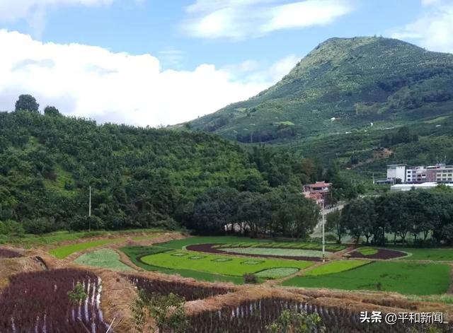 平和这个“国保”活起来了!