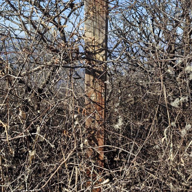 大觉寺凤凰岭北线徒步