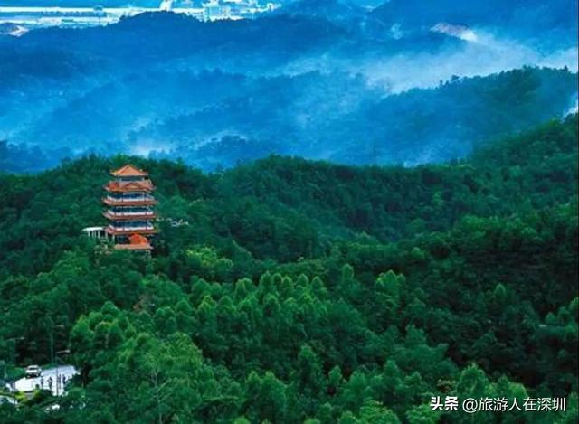 江门旅游去哪里好玩？2天1晚经典行程推荐，沉醉于碉楼山水美食