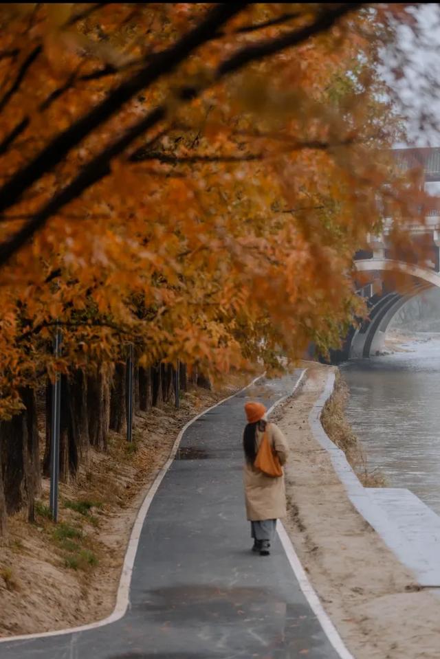 西安城区4个绝美秋景打卡地！