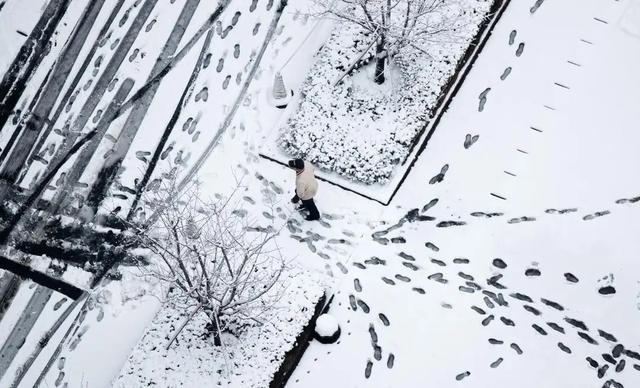 2026年春节冷不冷？老祖宗的答案，全藏在冬至这天！