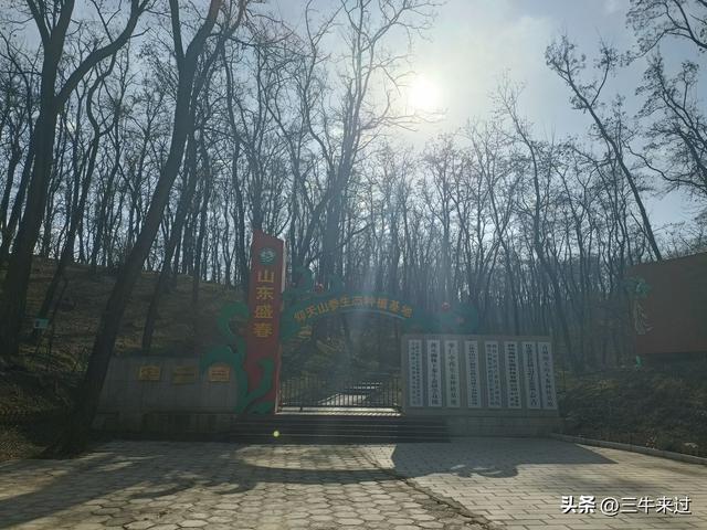 无为在歧路，免费仰天山