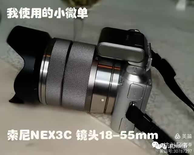 澳门龙环葡韵+官也街