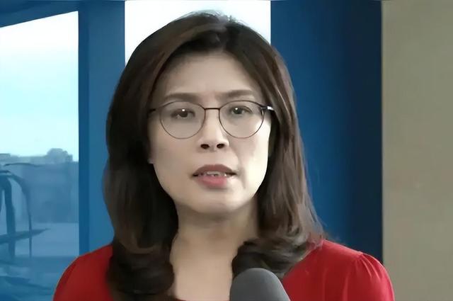郑丽文又有大动作，当着日媒的面、直接说出心里话，绿营瞬间炸锅
